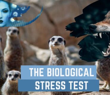 Biological Stress test